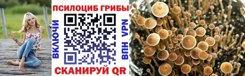 Псилоцибиновые грибы Psilocybe  купить наркотик  Нытва 